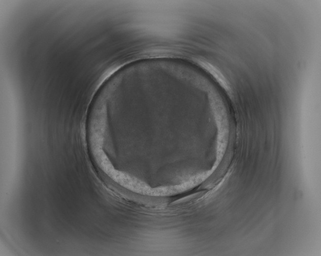 X0000111811465200908201100
