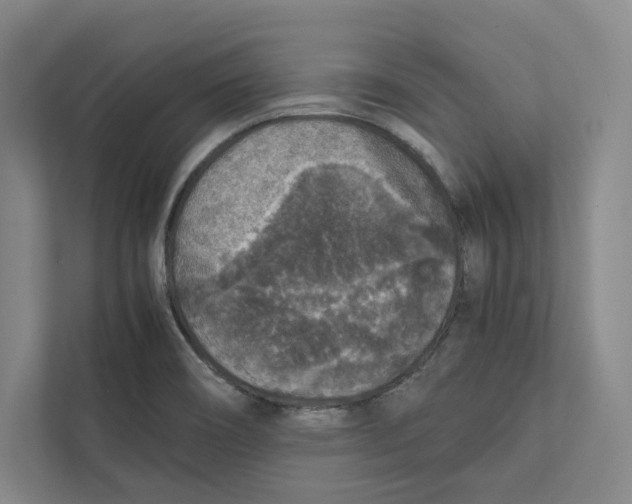 X0000111811466200908201100