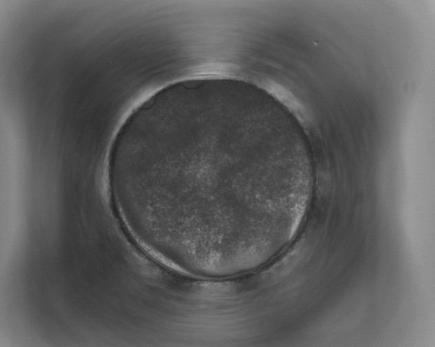 X0000111811469200908201100