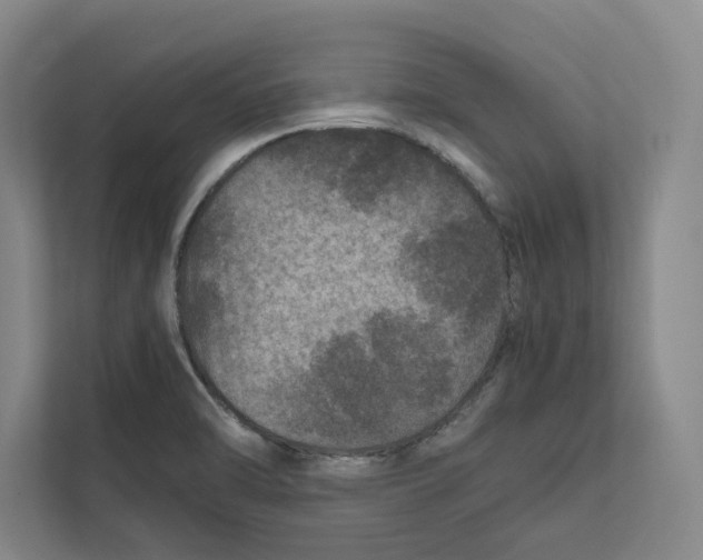 X0000111811470200908201100