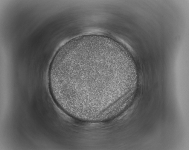 X0000111811471200908201100