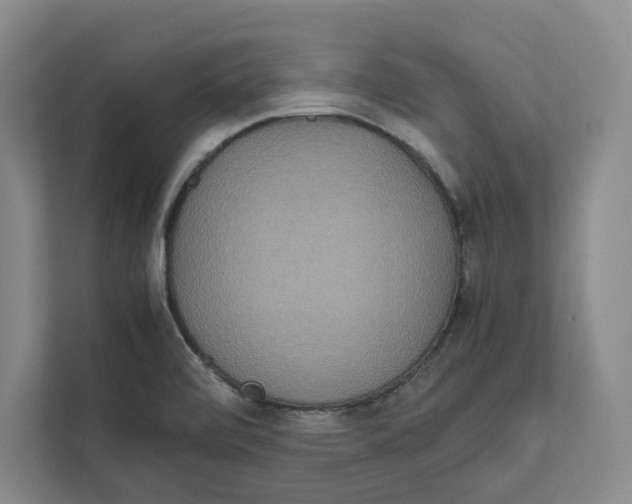 X0000111811472200908201100