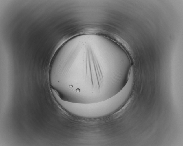 X0000111811473200908201100