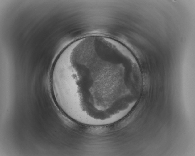X0000111811474200908201100