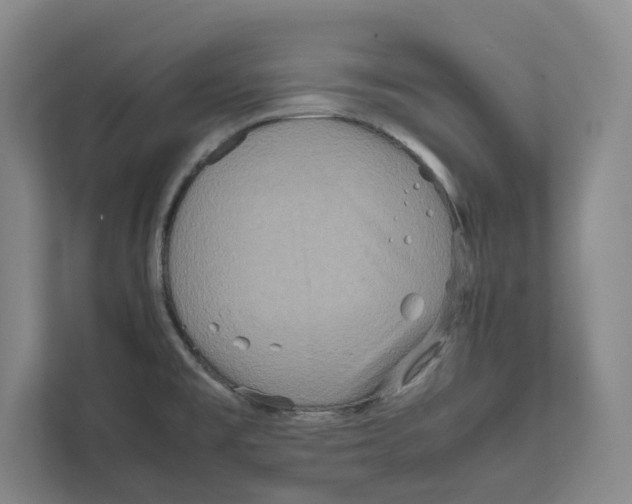 X0000111811477200908201100