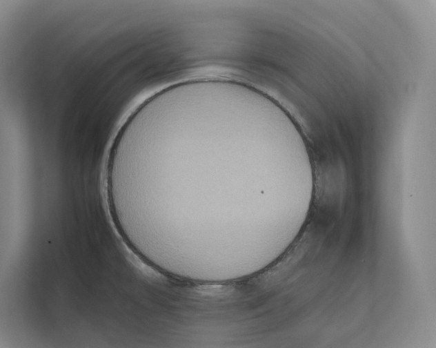 X0000111811478200908201100