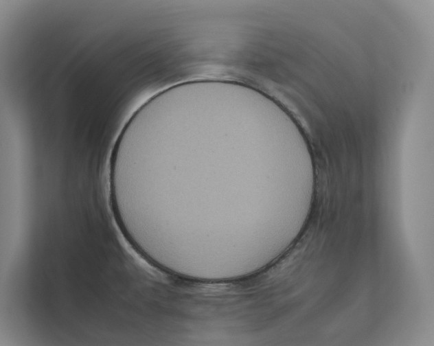 X0000111811479200908201100