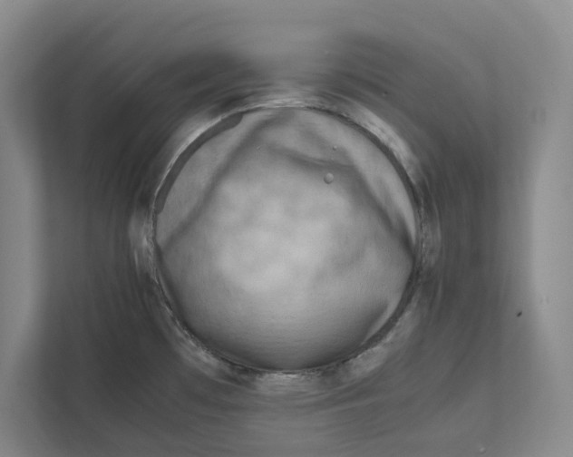 X0000111811481200908201100