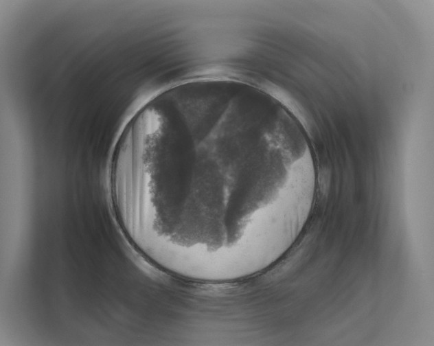 X0000111811482200908201100