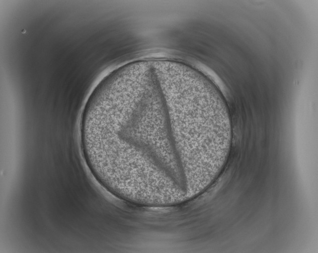 X0000111811483200908201100