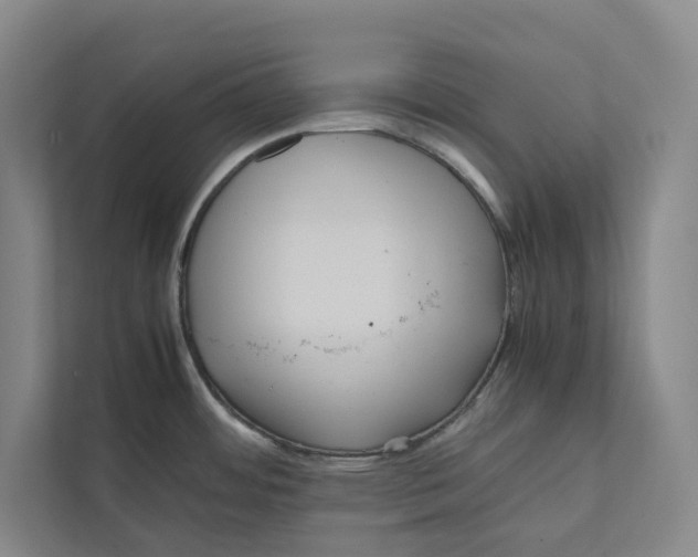 X0000111811484200908201100
