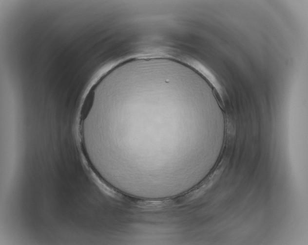X0000111811485200908201100