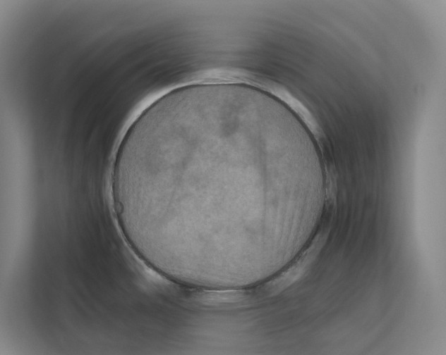 X0000111811486200908201100