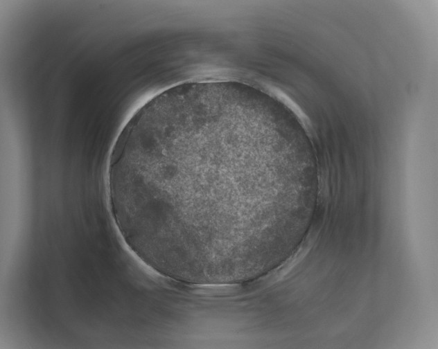 X0000111811487200908201100