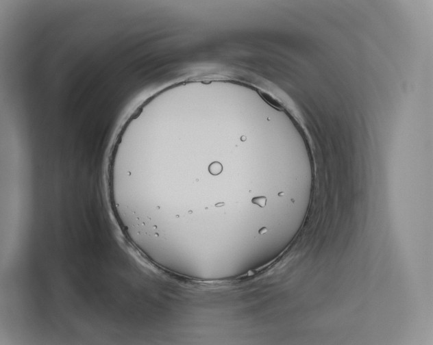 X0000111811488200908201100
