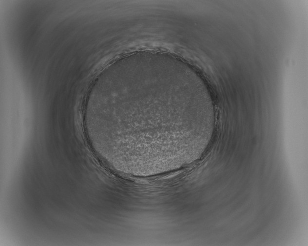 X0000111811489200908201059