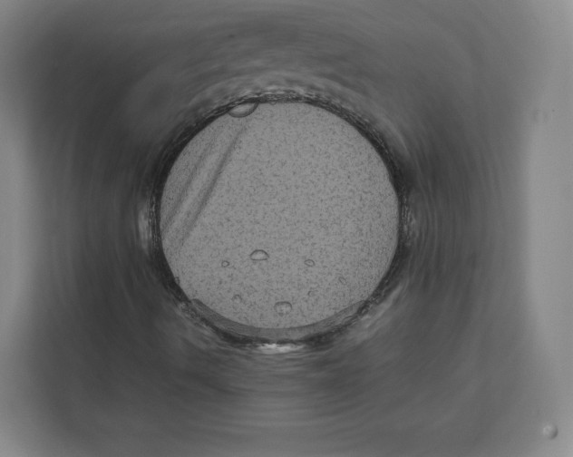 X0000111811490200908201059