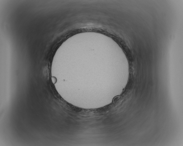 X0000111811493200908201059