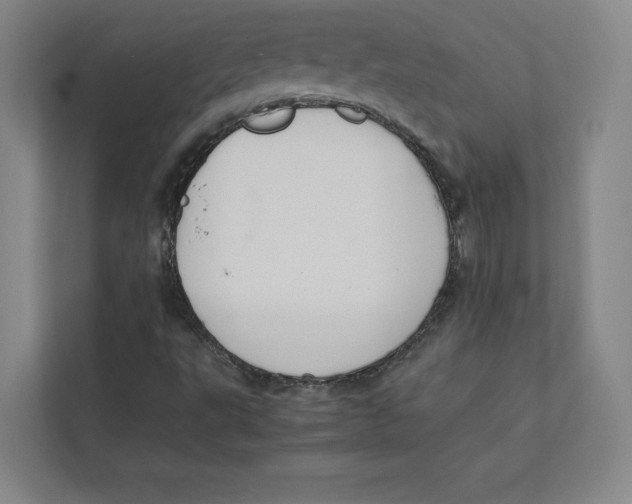 X0000111811495200908201059