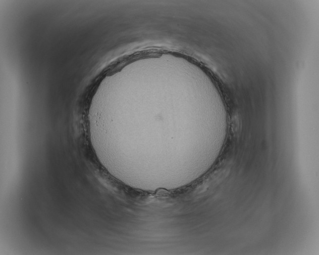 X0000111811496200908201059