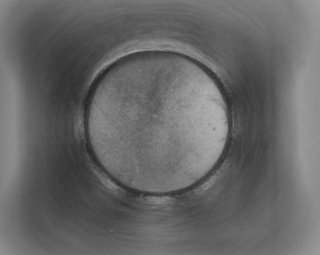 X0000111811498200908201059
