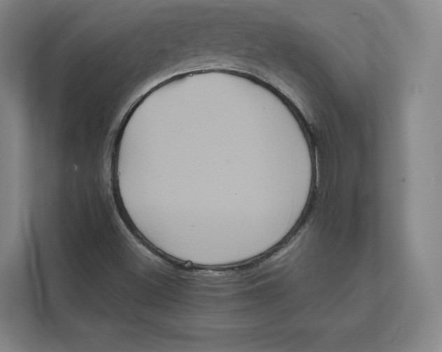 X0000111811500200908201059