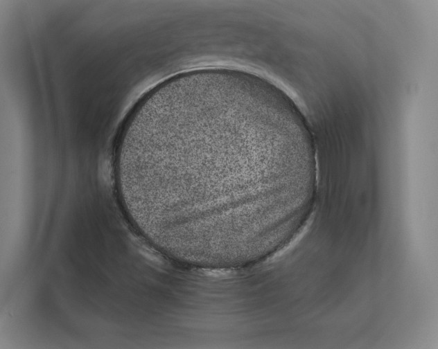 X0000111811501200908201059