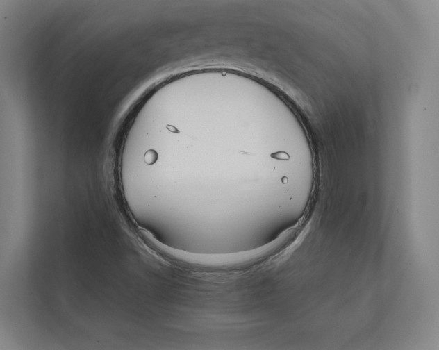 X0000111811502200908201059
