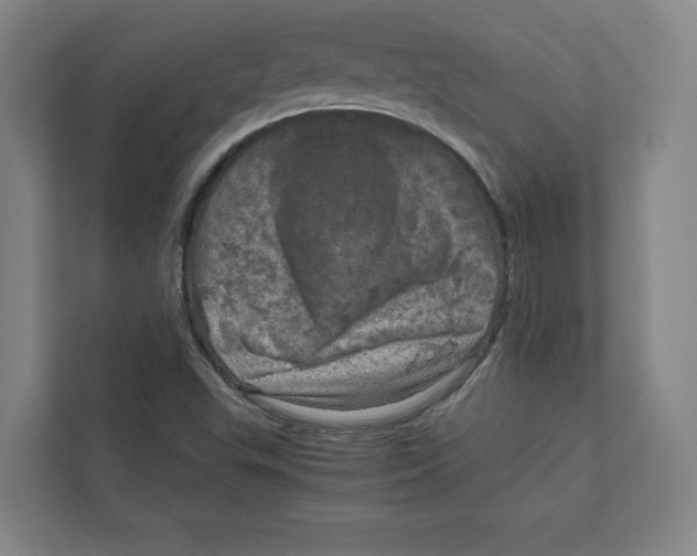 X0000111811503200908201059