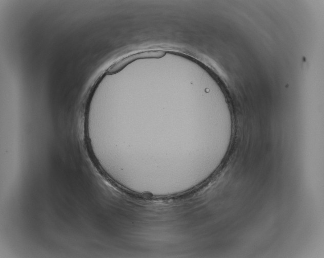 X0000111811504200908201059