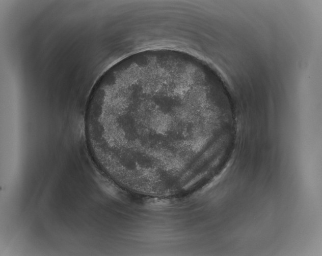 X0000111811505200908201100