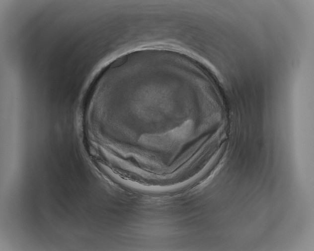 X0000111811506200908201100
