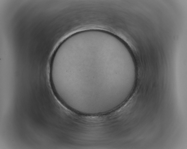 X0000111811508200908201100