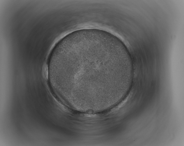 X0000111811509200908201100