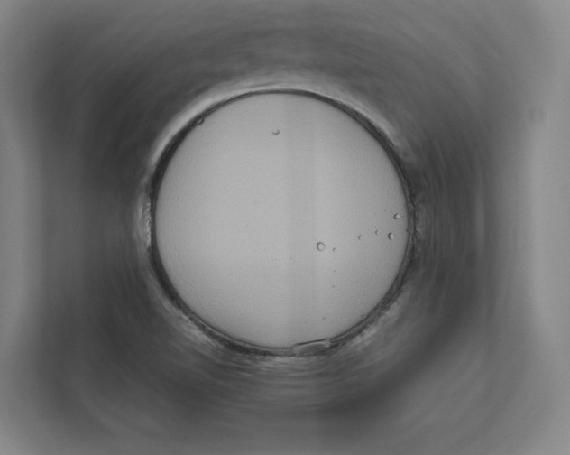 X0000111811510200908201100