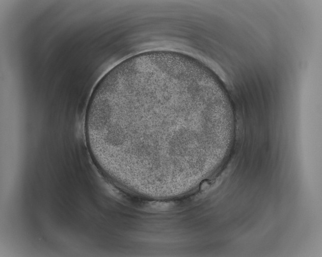 X0000111811513200908201100