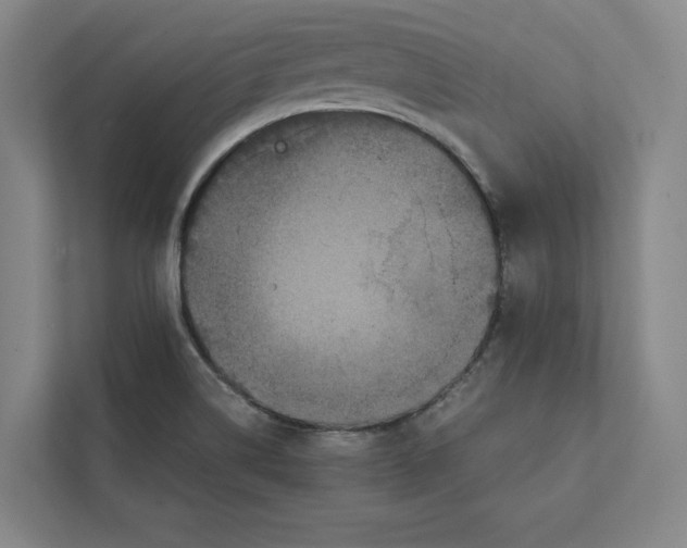 X0000111811514200908201100