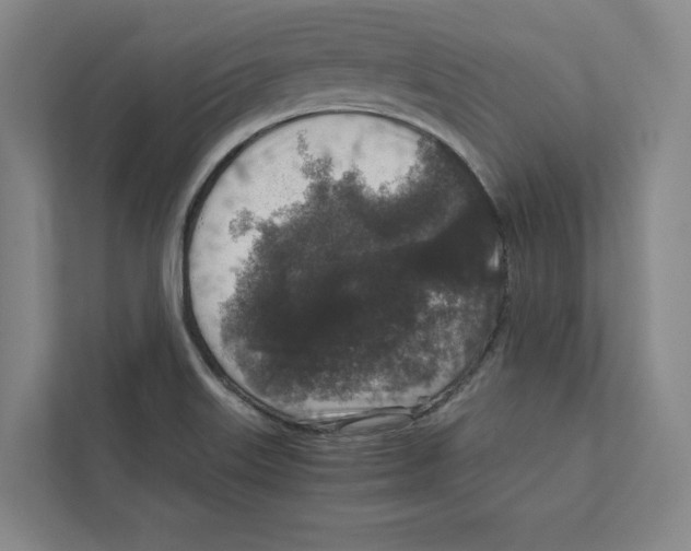 X0000111811515200908201100