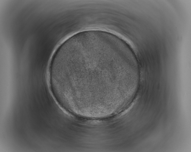X0000111811517200908201100