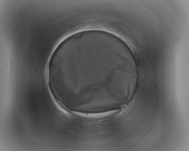 X0000111811519200908201100