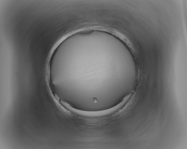 X0000111811520200908201100