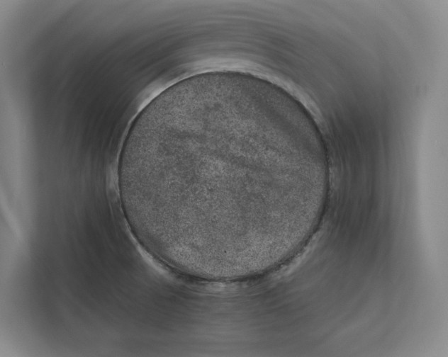 X0000111811521200908201100