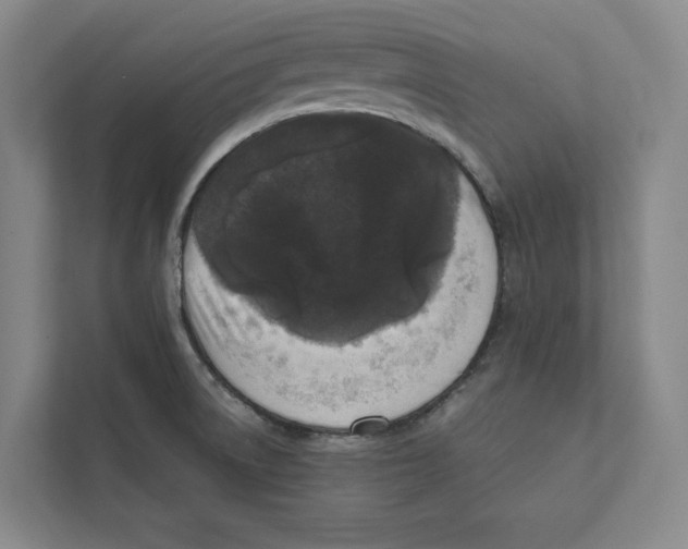 X0000111811522200908201100