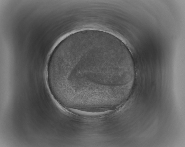 X0000111811523200908201100