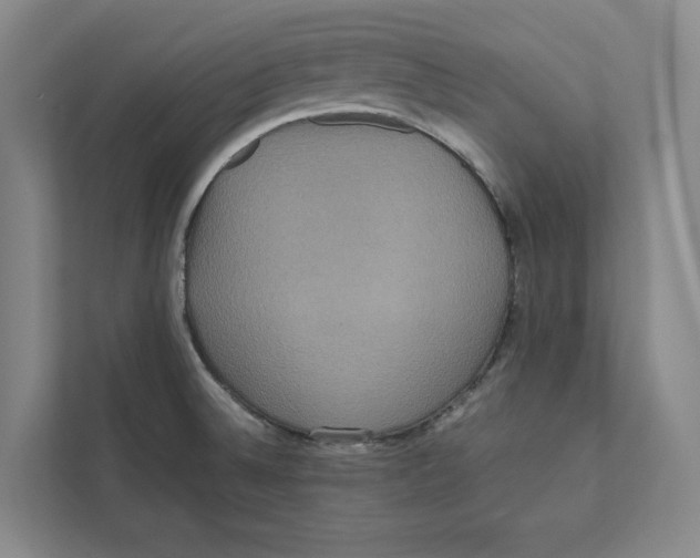 X0000111811524200908201100