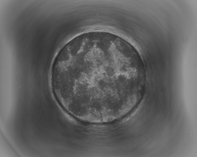 X0000111811525200908201100