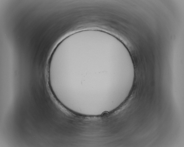 X0000111811526200908201100