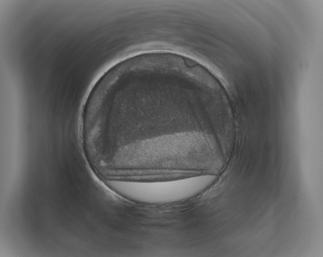 X0000111811527200908201100