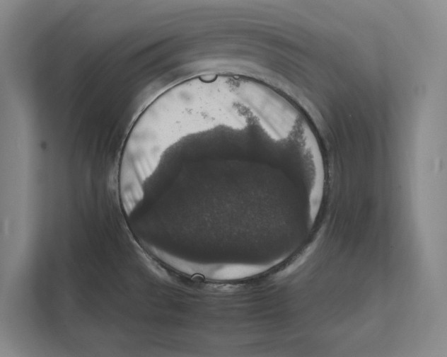 X0000111811529200908201100