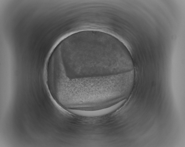X0000111811531200908201100